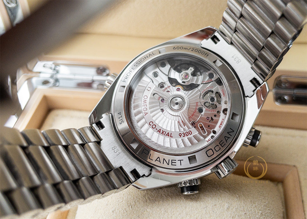 Omega Planet Ocean 600M Steel