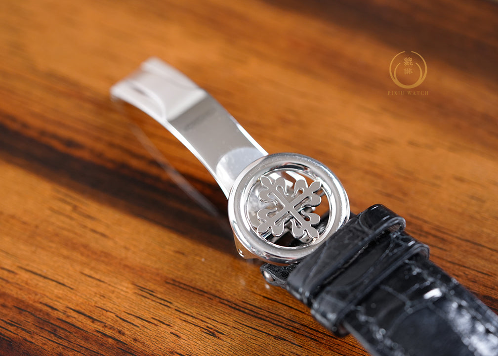 Patek 5496P Perpetual Calendar