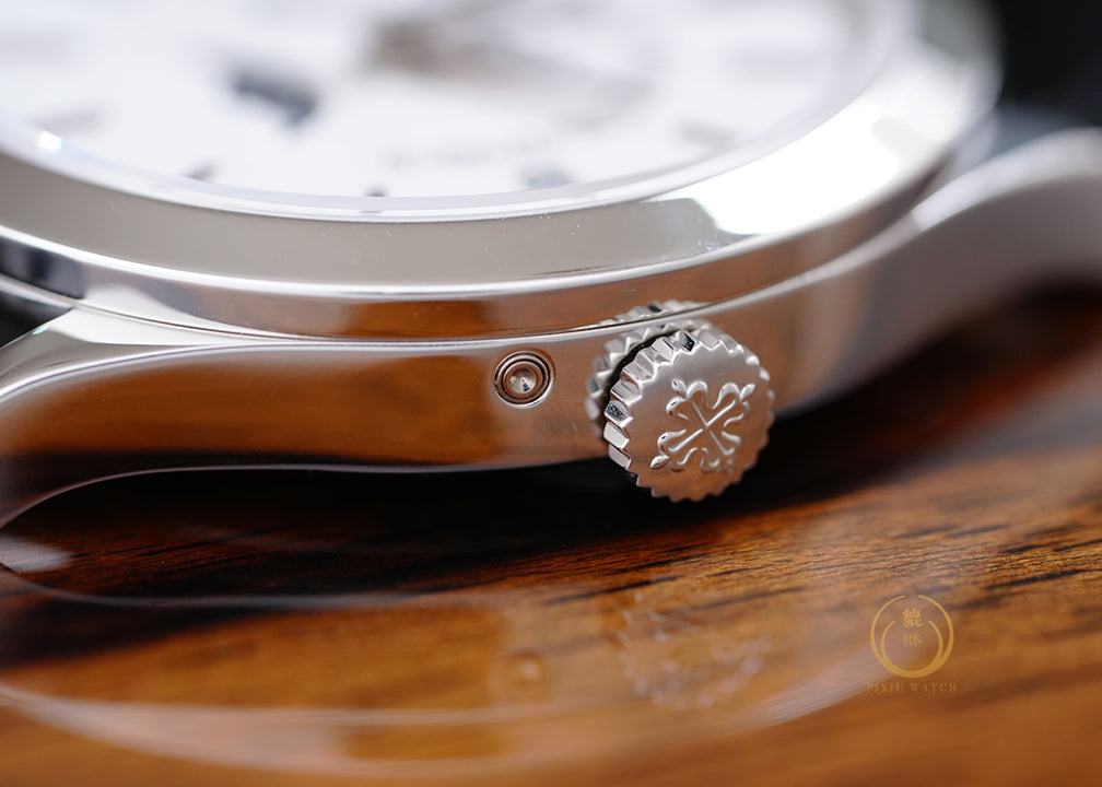 Patek 5496P Perpetual Calendar
