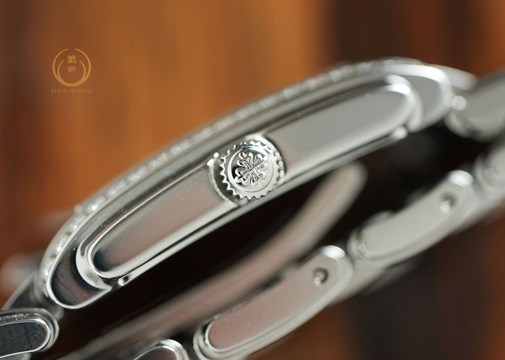 Patek Twenty-4 Gray Sunburst 4910