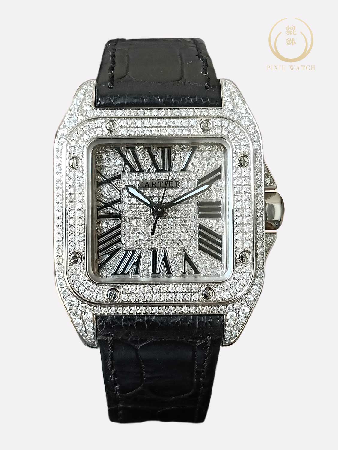 Cartier Santos 100 Full Diamond M Size