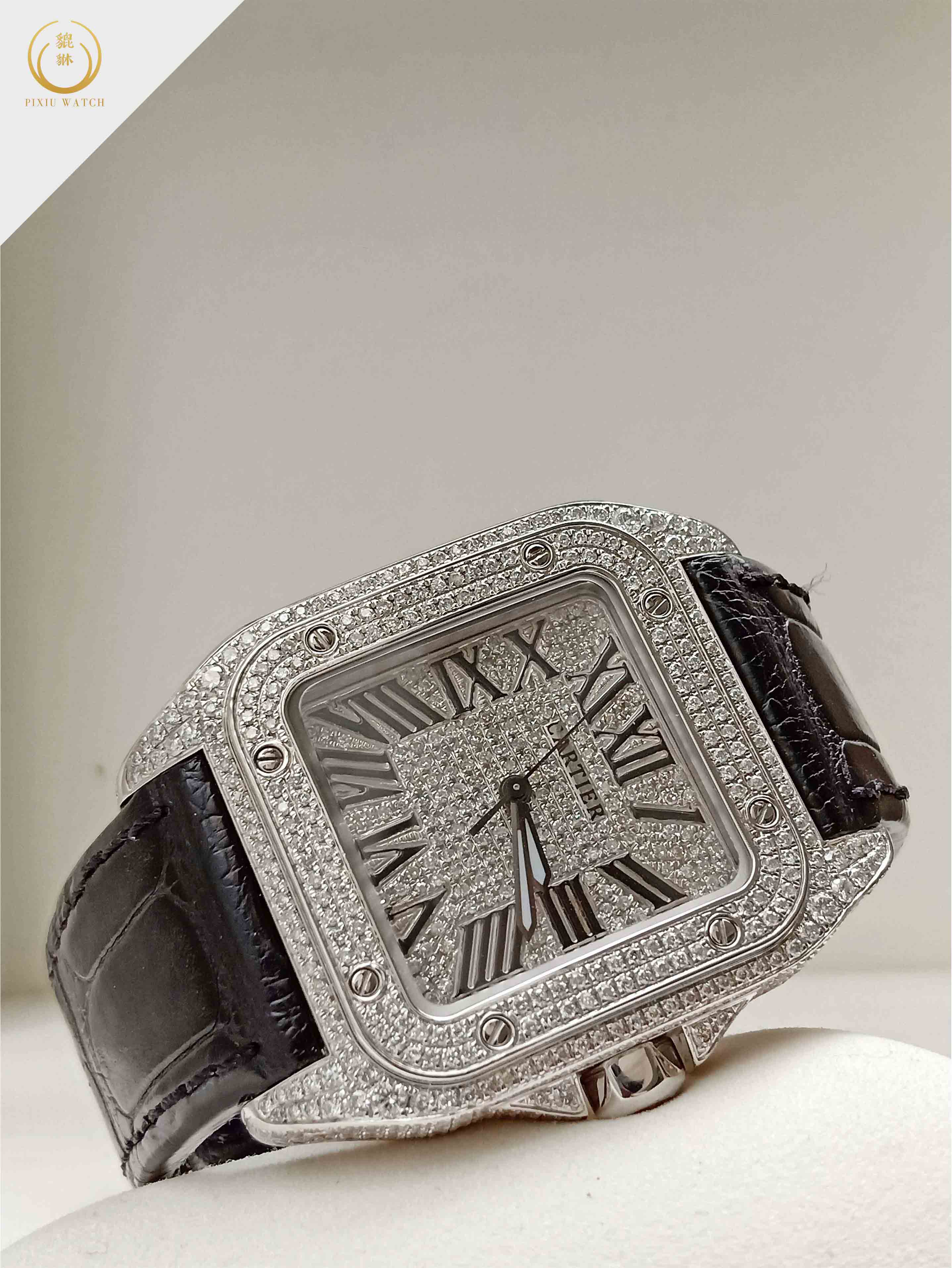 Cartier Santos 100 Full Diamond M Size