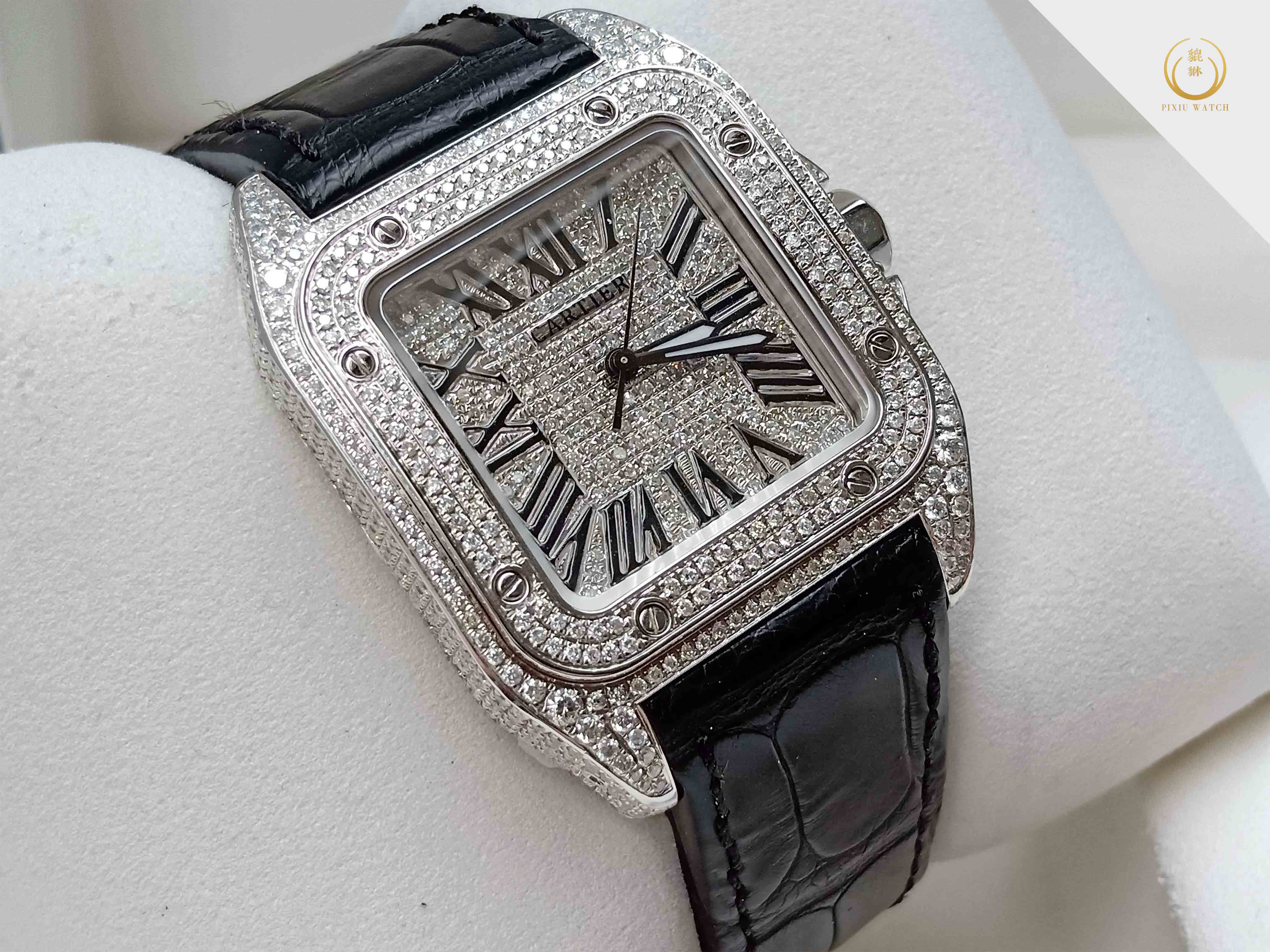 Cartier Santos 100 Full Diamond M Size
