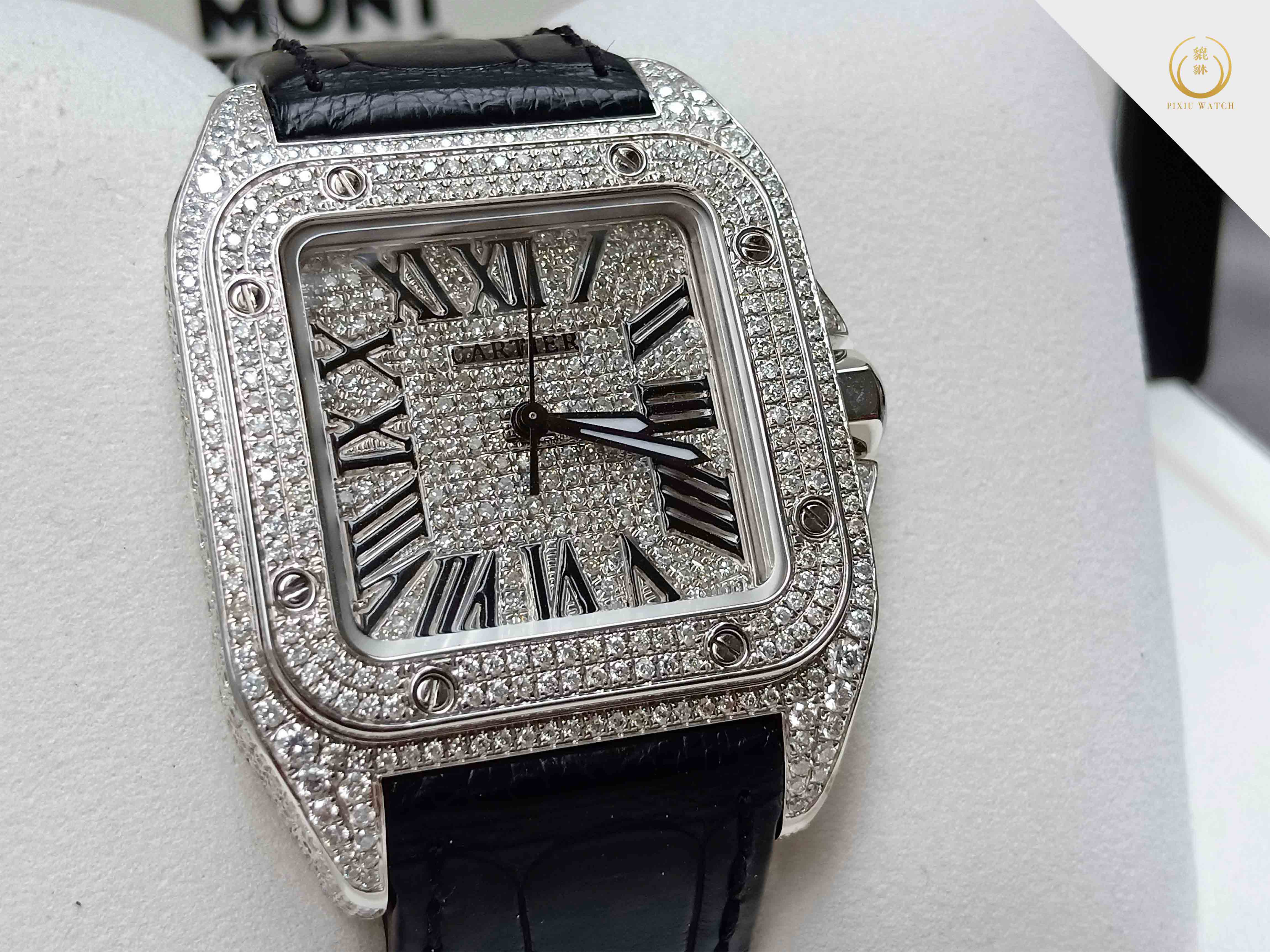 Cartier Santos 100 Full Diamond M Size