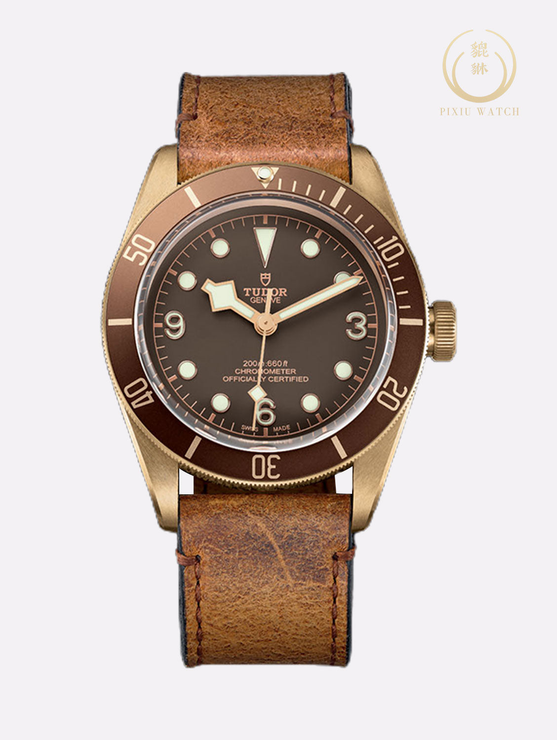 Tudor Black Bay Bronze