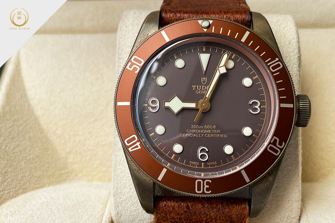 Tudor Black Bay Bronze