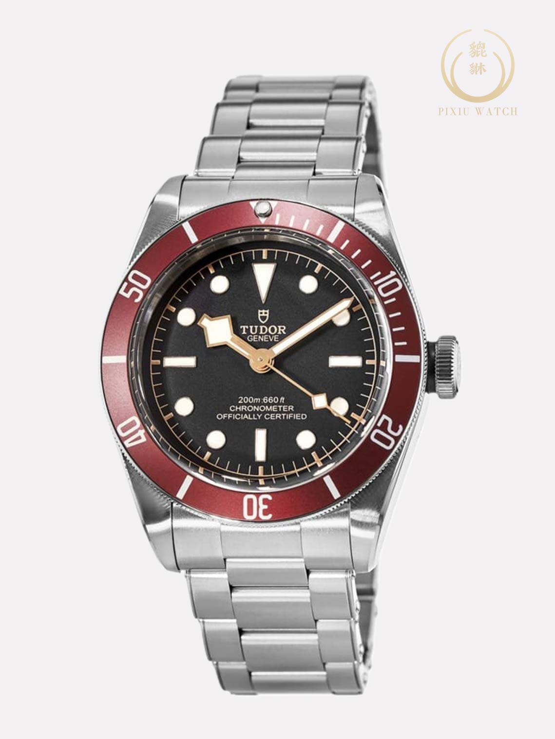 Tudor Black Bay Red Burgundy