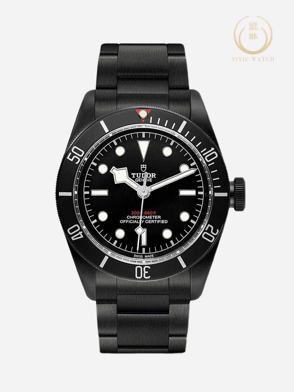 Tudor Heritage Black Bay Dark