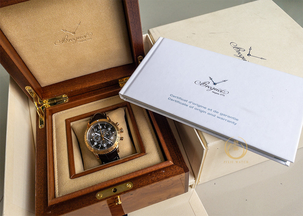 Breguet Type XXI 3810 Flyback