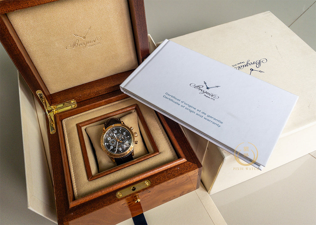 Breguet Type XXI 3810 Flyback