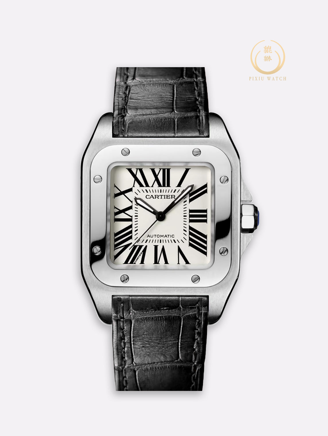 Cartier Santos 100 Medium Size