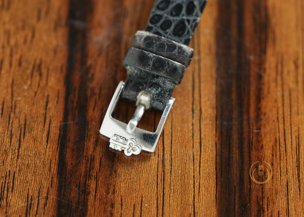 Corum Meteorite Dial Platinum