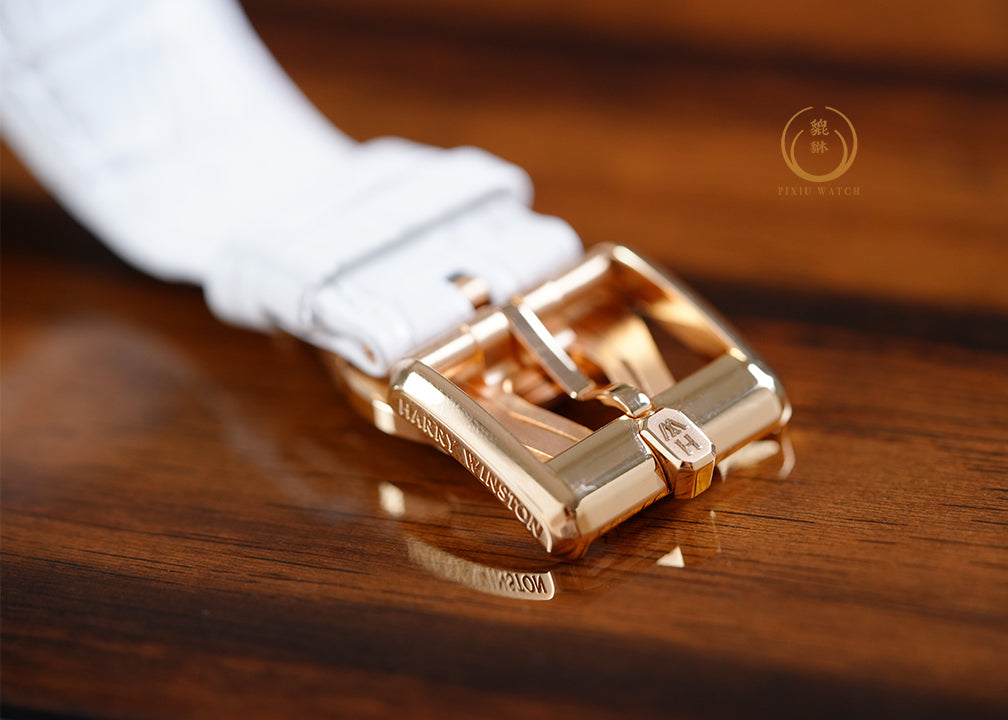 Harry Winston Ocean Dual Time