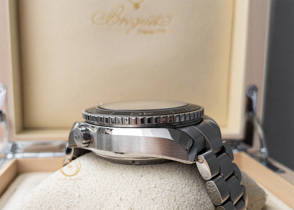 Omega Planet Ocean 600M Steel
