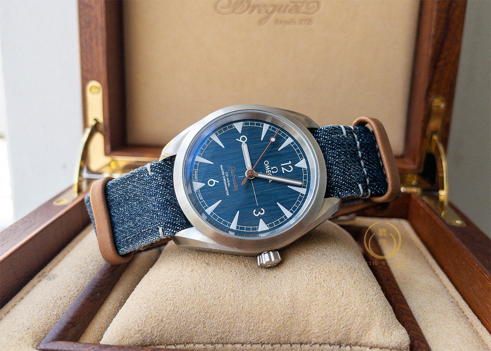 Omega Seamaster Railmaster