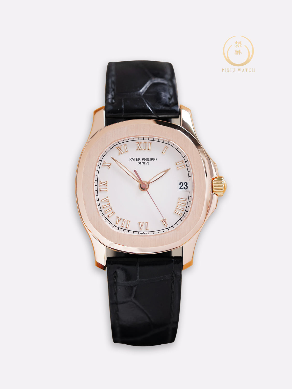 Patek Nautilus Aquanaut 5060SR-010