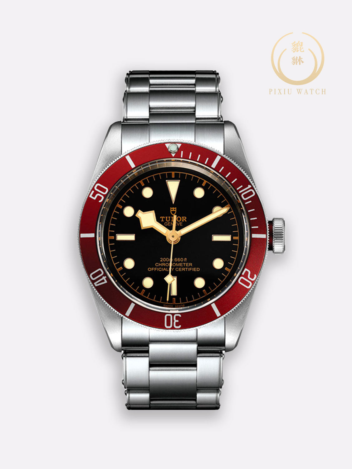 Tudor Black Bay Red Burgundy