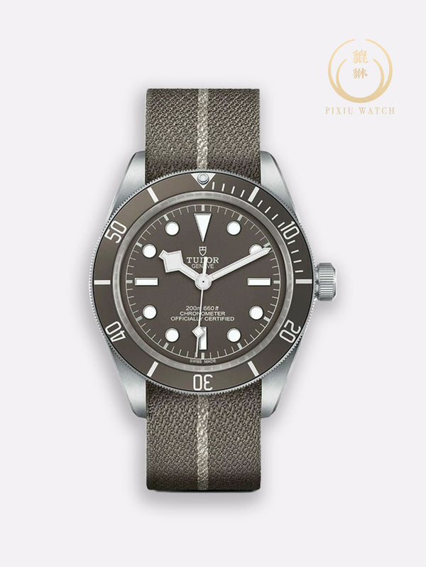 Tudor Black Bay Fifty-Eight Taupe Dial