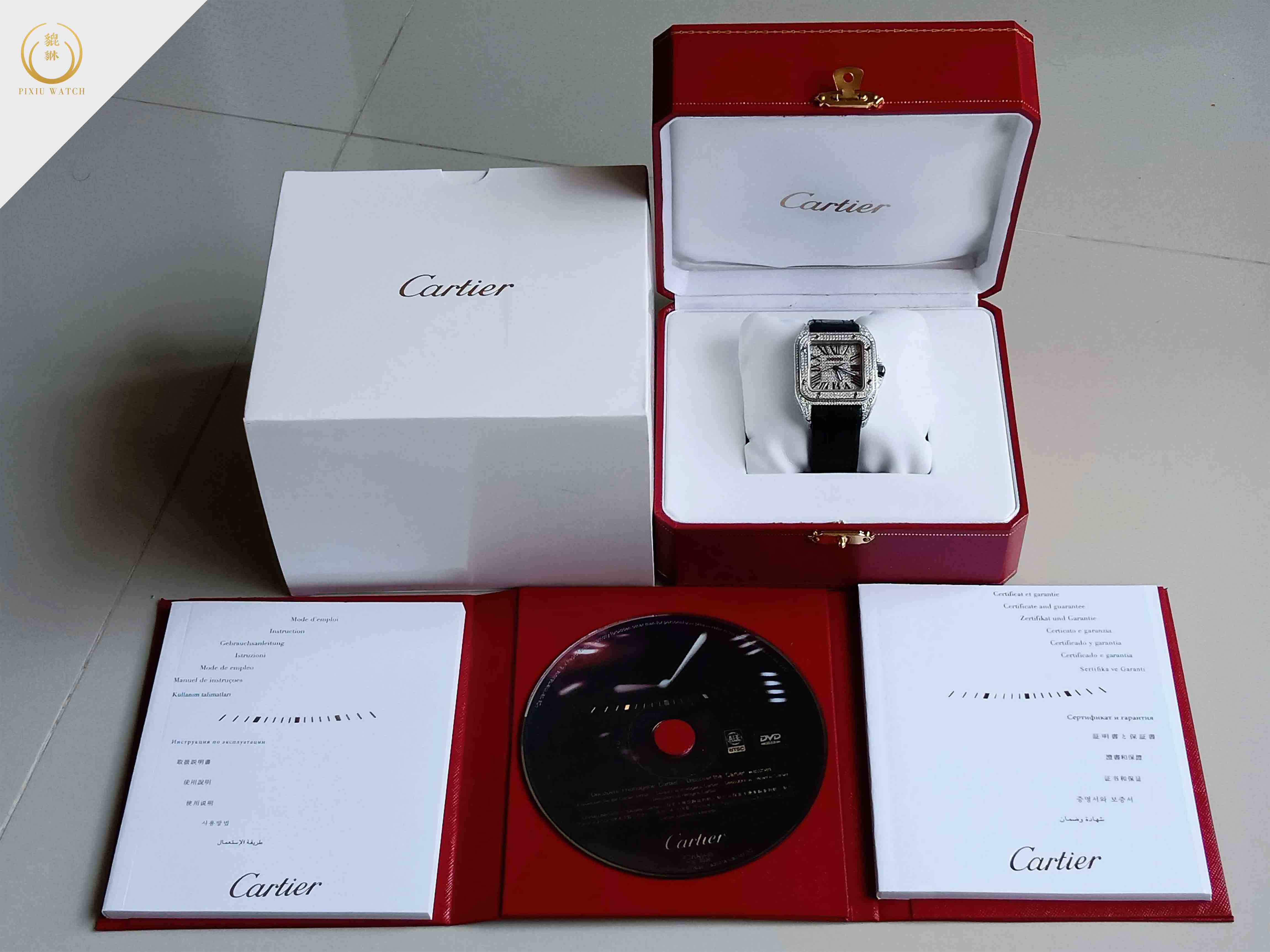 Cartier Santos 100 Full Diamond M Size