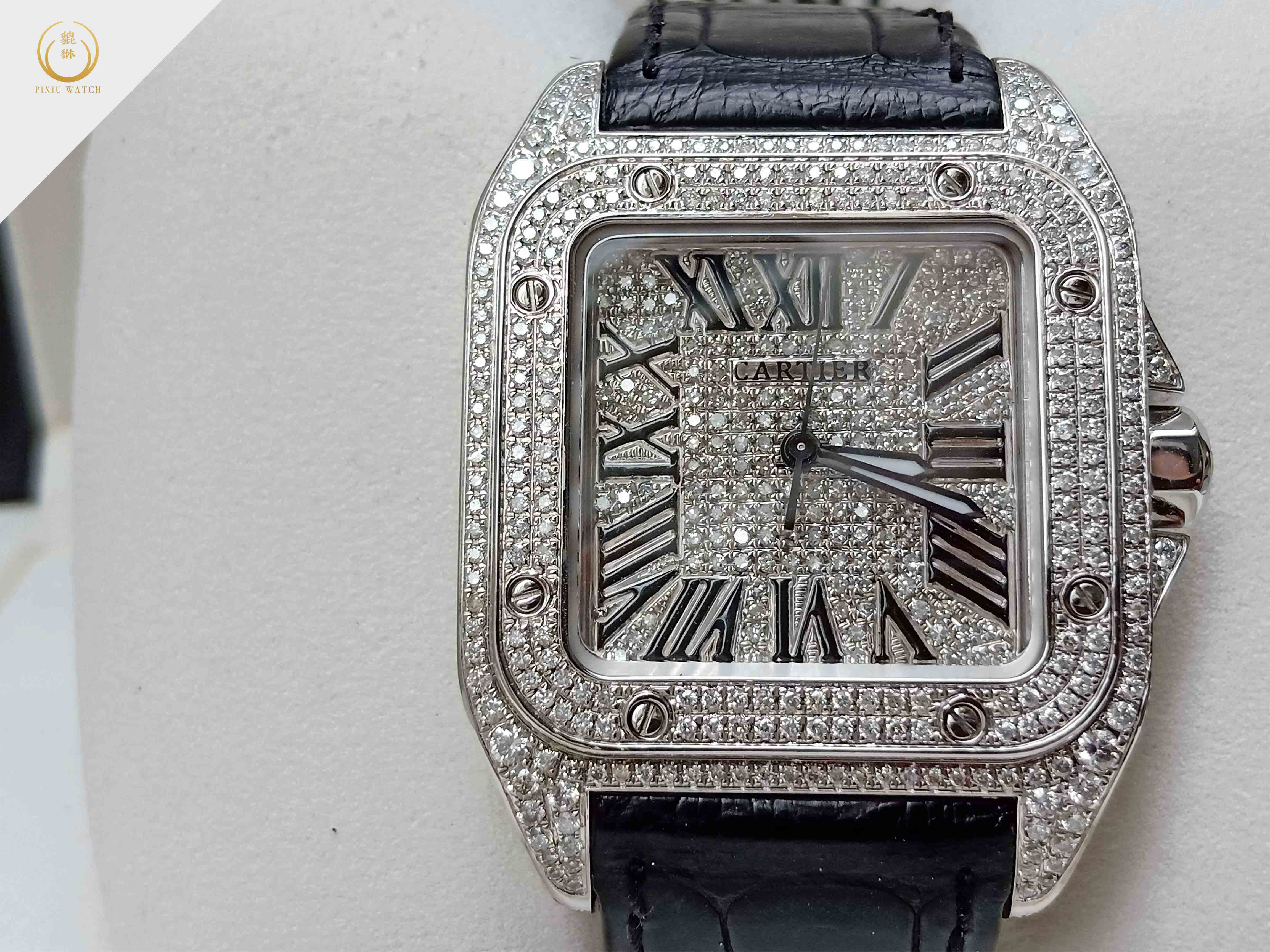 Cartier Santos 100 Full Diamond M Size