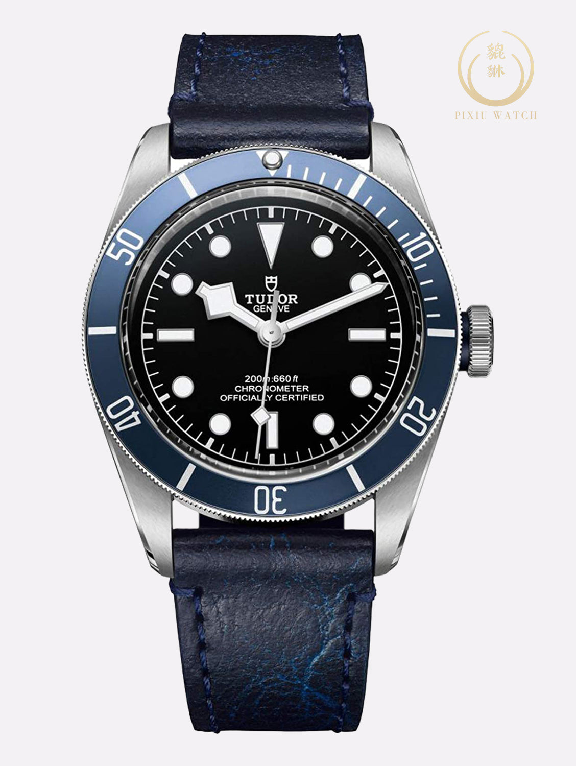 Tudor Black Bay Blue