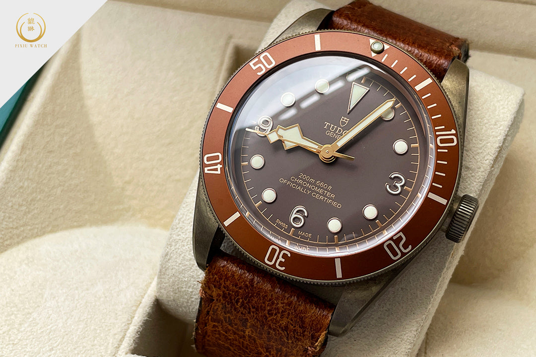 Tudor Black Bay Bronze
