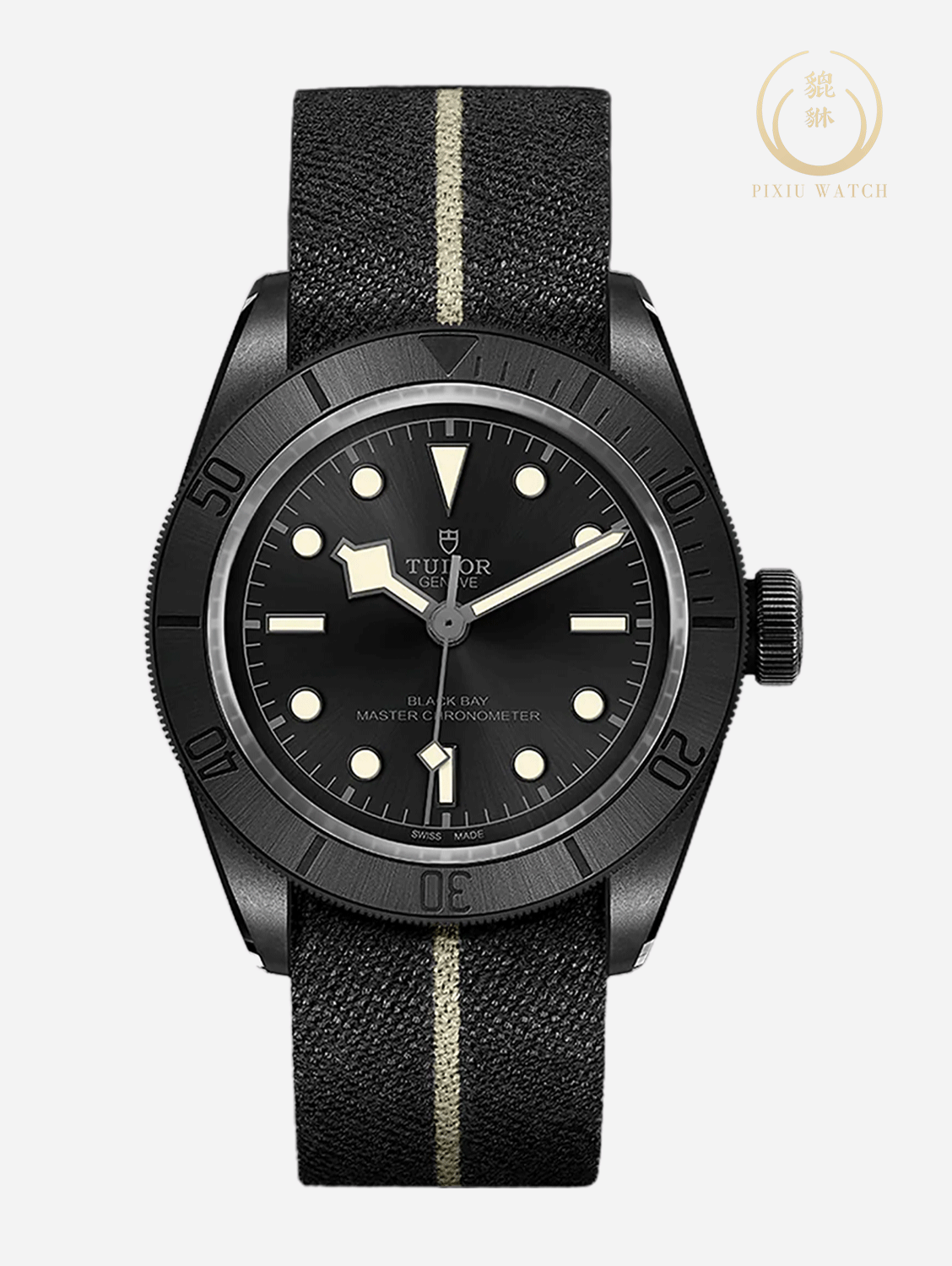 Tudor Black Bay Ceramic
