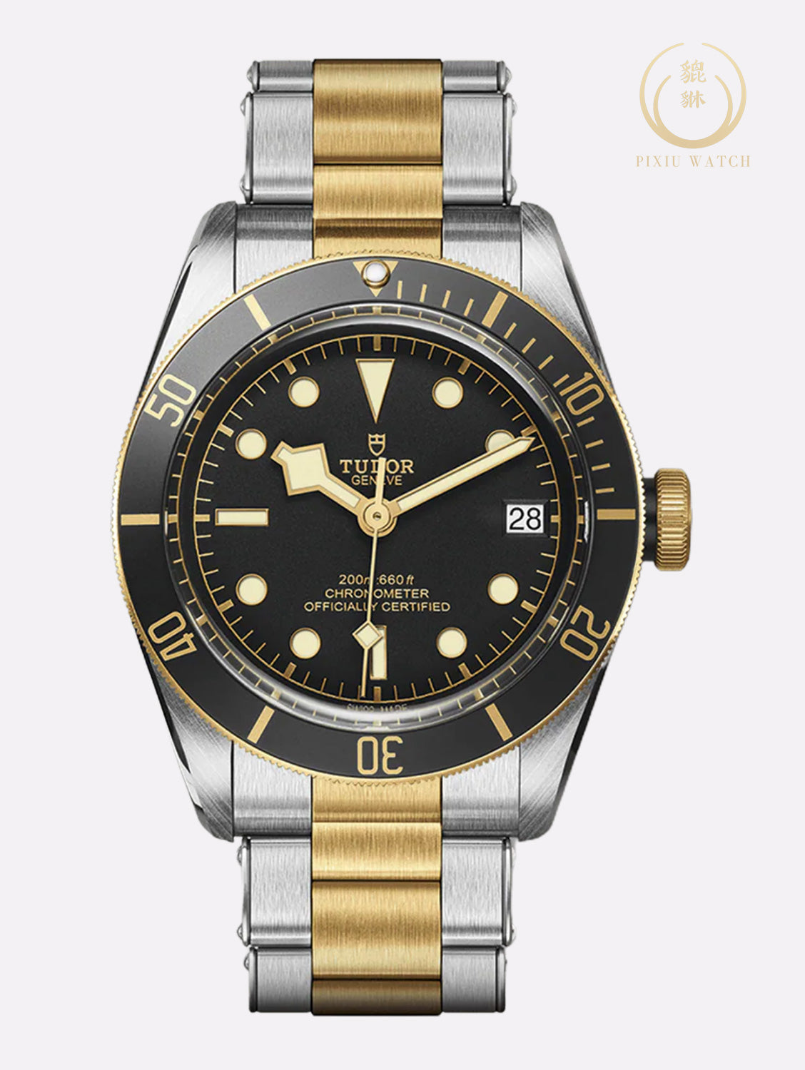 Tudor Black Bay Two Tone Steel and Gold