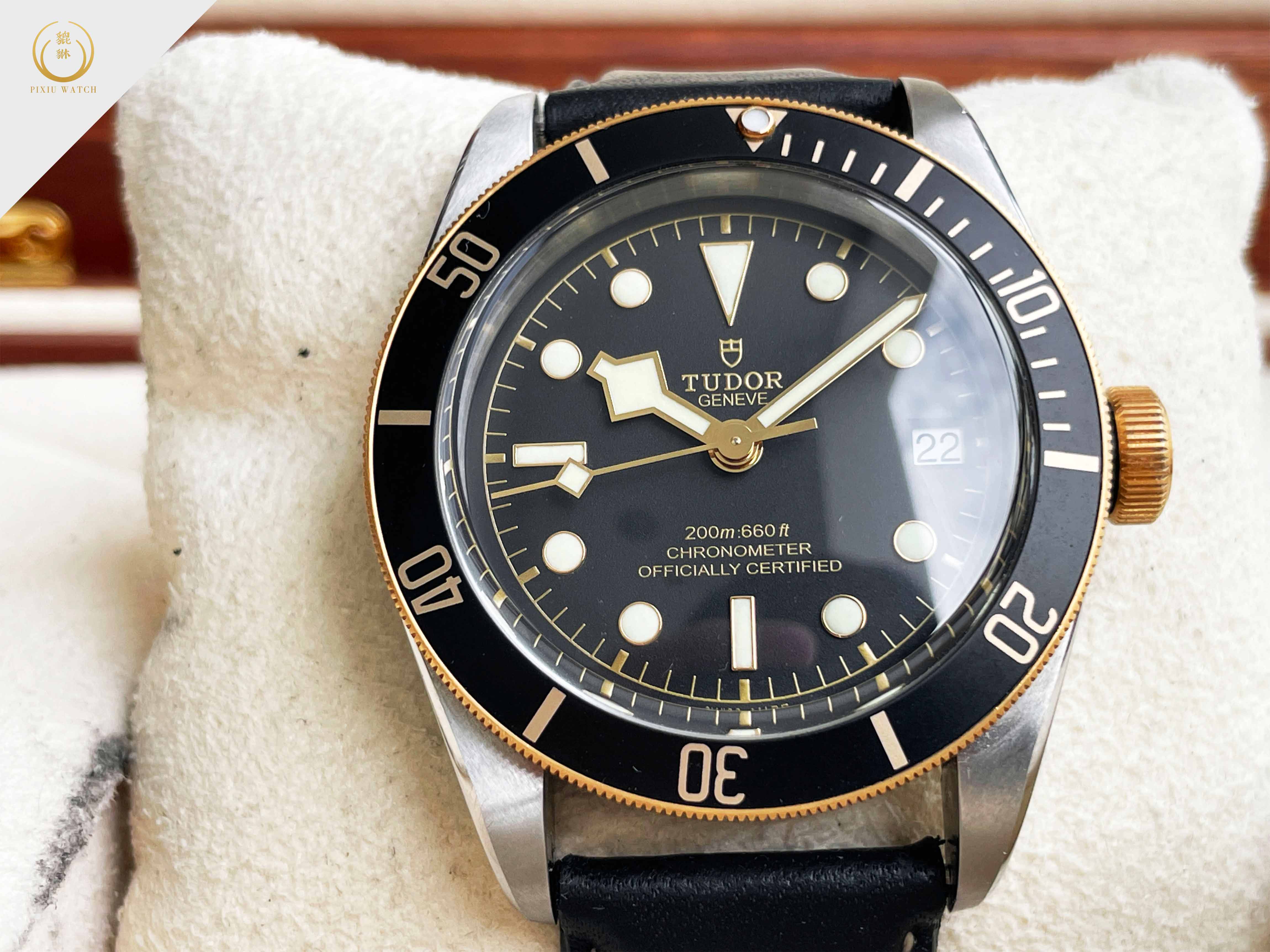 Tudor Black Bay Two Tone Steel and Gold
