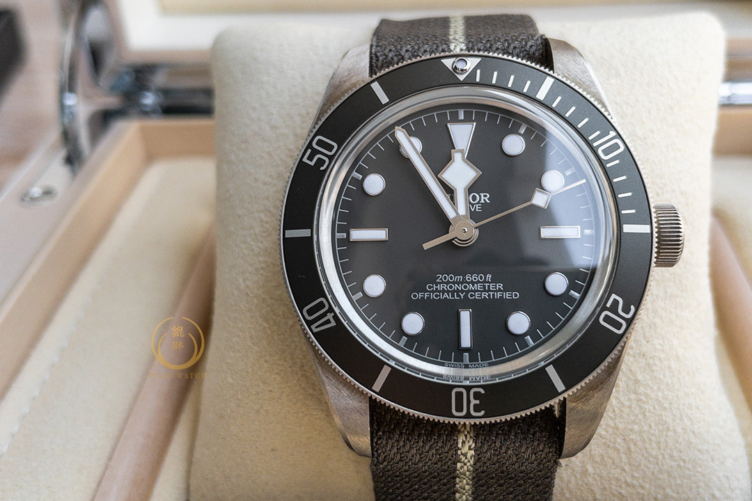 Tudor Black Bay Fifty-Eight Taupe Dial
