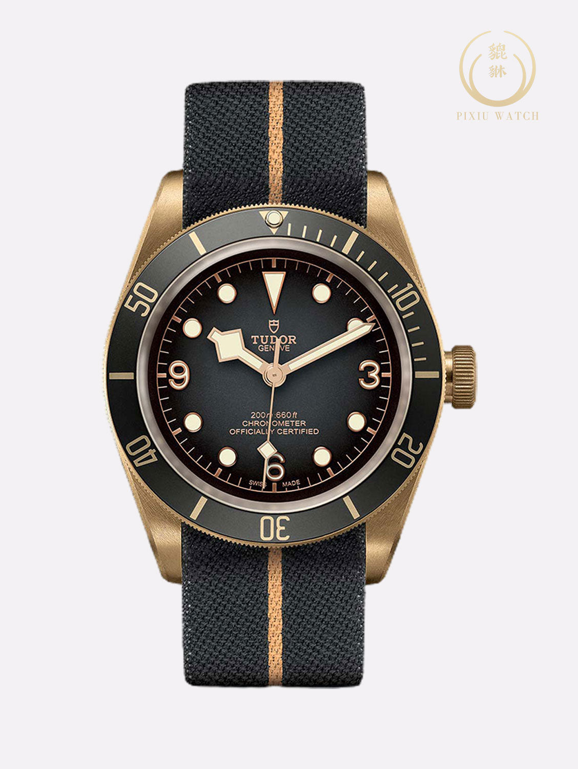 Tudor Black Bay Bronze M79250BA-0002