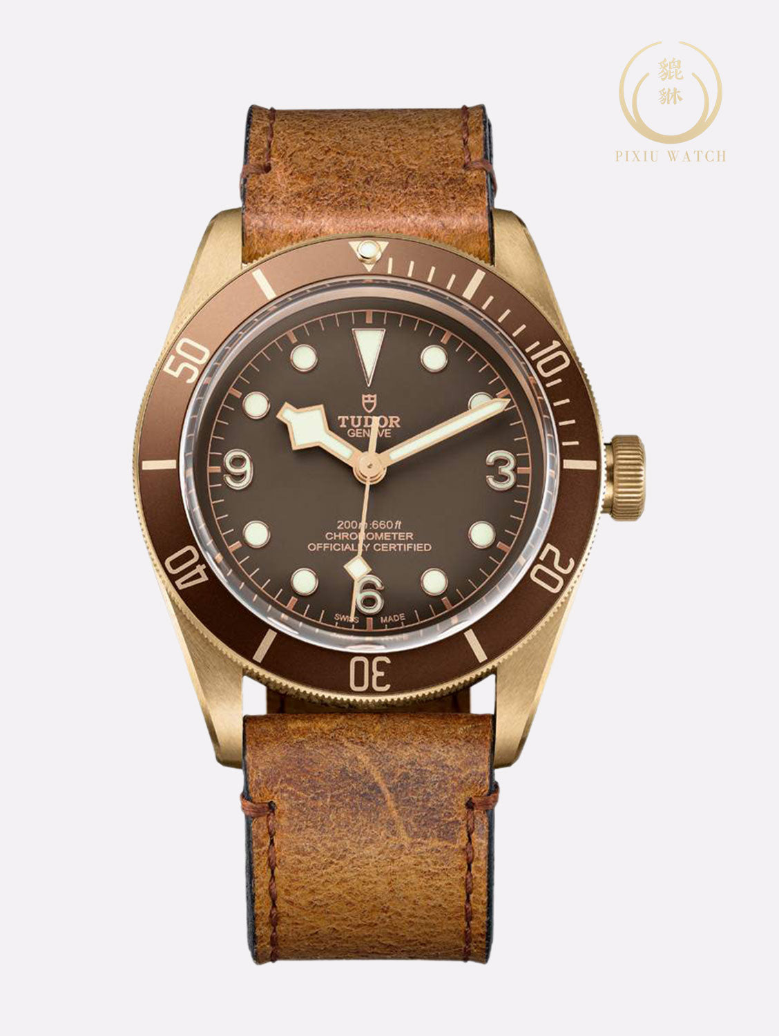 Tudor Heritage Black Bay Bronze